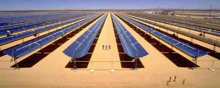 Concentrated solar destroys desert habitat