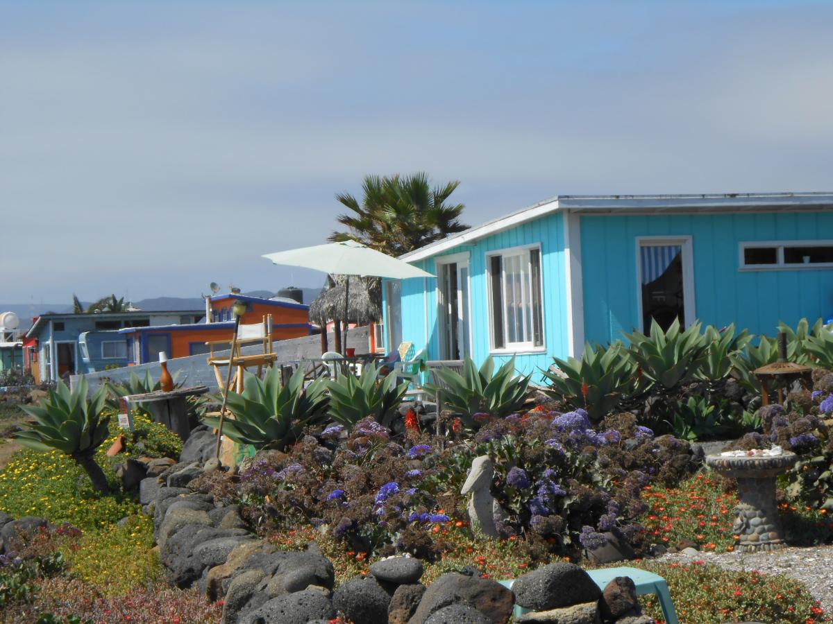 A man who goes by the name of Clarence treated us to his mastery of the