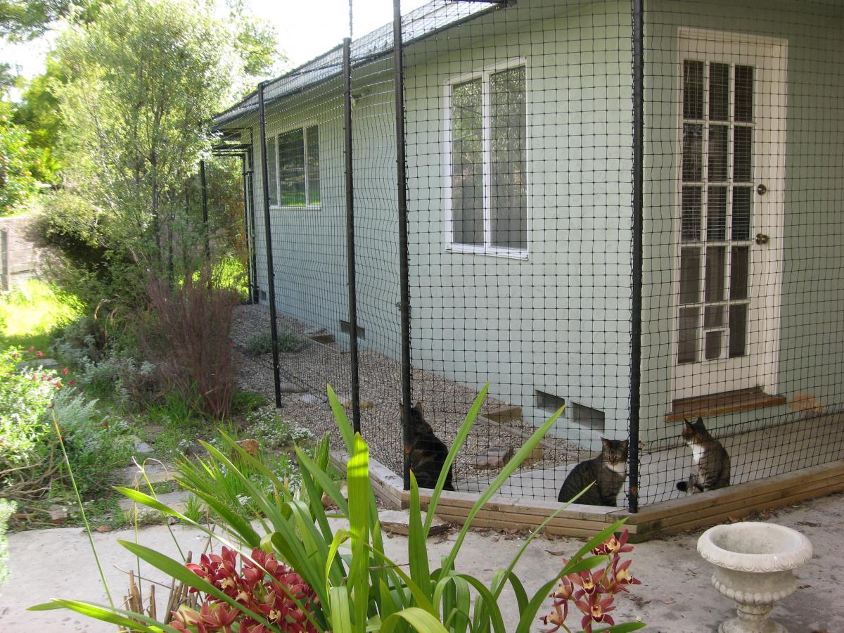 PET PATIOS HELP PROTECT CATS AND DOGS FROM COYOTES, HAWKS AND OTHER