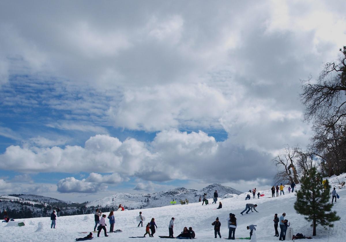 A BLUEBIRD'S DAY FOR PLAY ON MOUNT LAGUNA East County Magazine