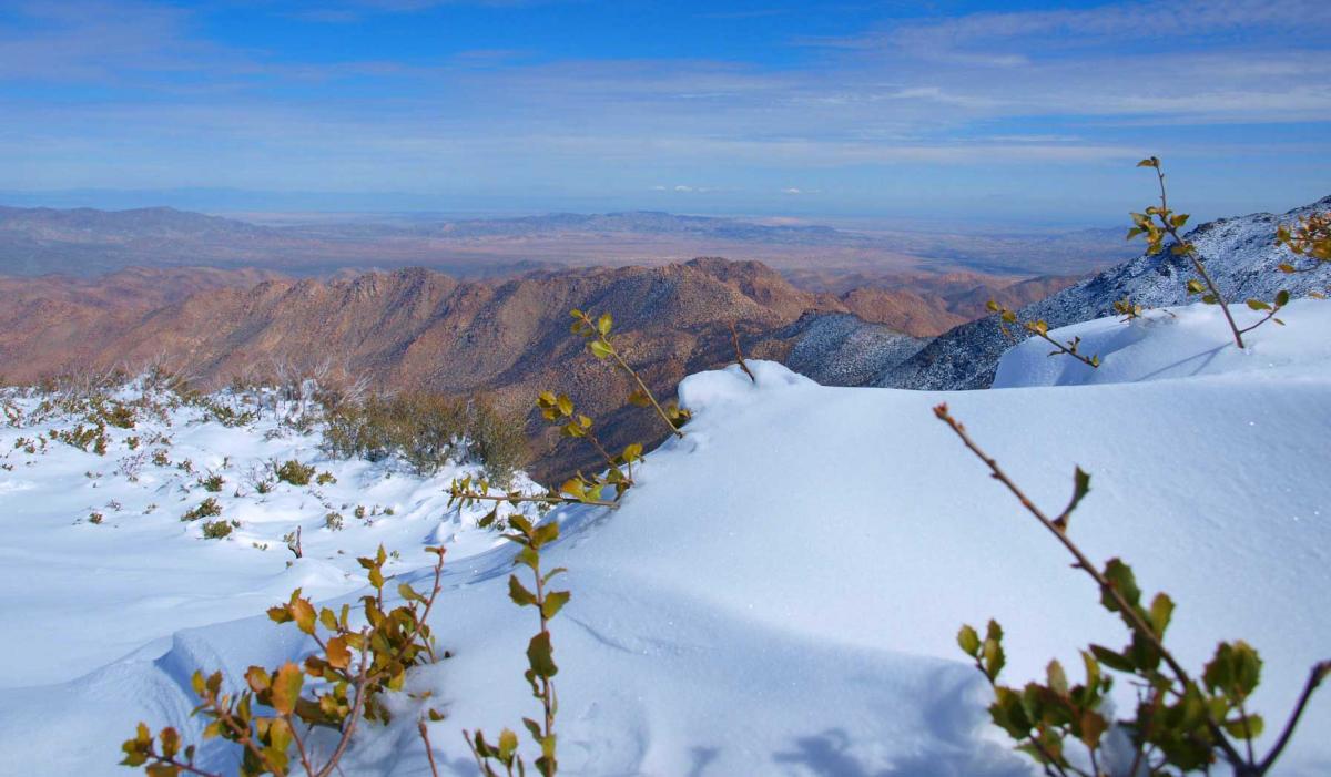 A BLUEBIRD'S DAY FOR PLAY ON MOUNT LAGUNA East County Magazine