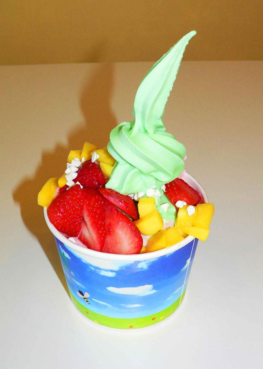 YOGURT WORLD IN SANTEE SERVES UP TART & EXOTIC FLAVORS, NEW TRENDS IN