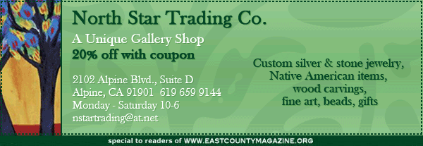 north star trading co