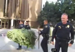 On Christmas Day, officers hauled off Martin Eder and the tree he brought to brighten holiday spirits