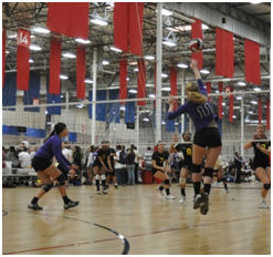 A nice hit and kill by Kate Johnston