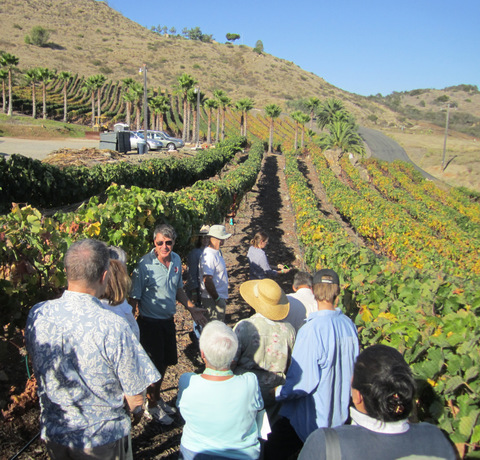 Farm Bureau Sponsors San Diego County Farm Tour Day June 16 East County Magazine