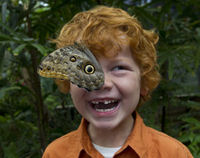 Photo taken on March 23, 2012, by Ken Bohn, San Diego Zoo Safari Park