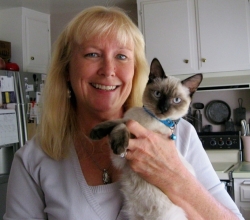 ANIMAL TALES: SOUTHERN CALIFORNIA SIAMESE RESCUE ...