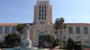 Court docket Data Search