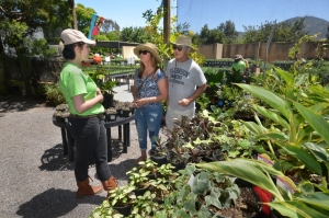 Spring Garden And Butterfly Festival April 28 Celebrates 25th
