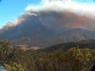 Harris Fire, burning in Potrero, photo by Miriam Raftery